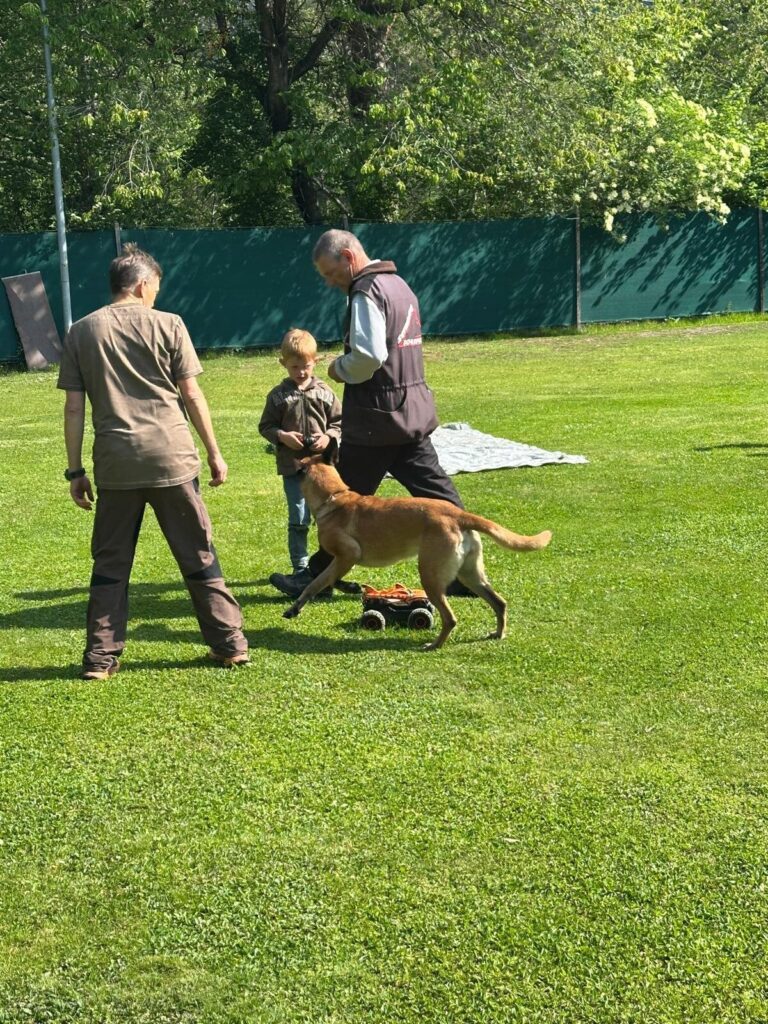 Hundesport, Training und Prüfungen beim Kynologischen Verein Ganda Landquart Graubünden, 2025