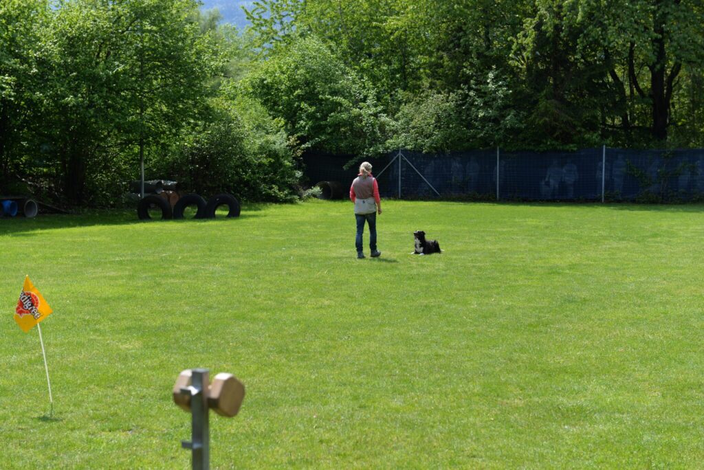 Hundesport & Prüfungen 2016 – Kynologischer Verein Ganda Landquart