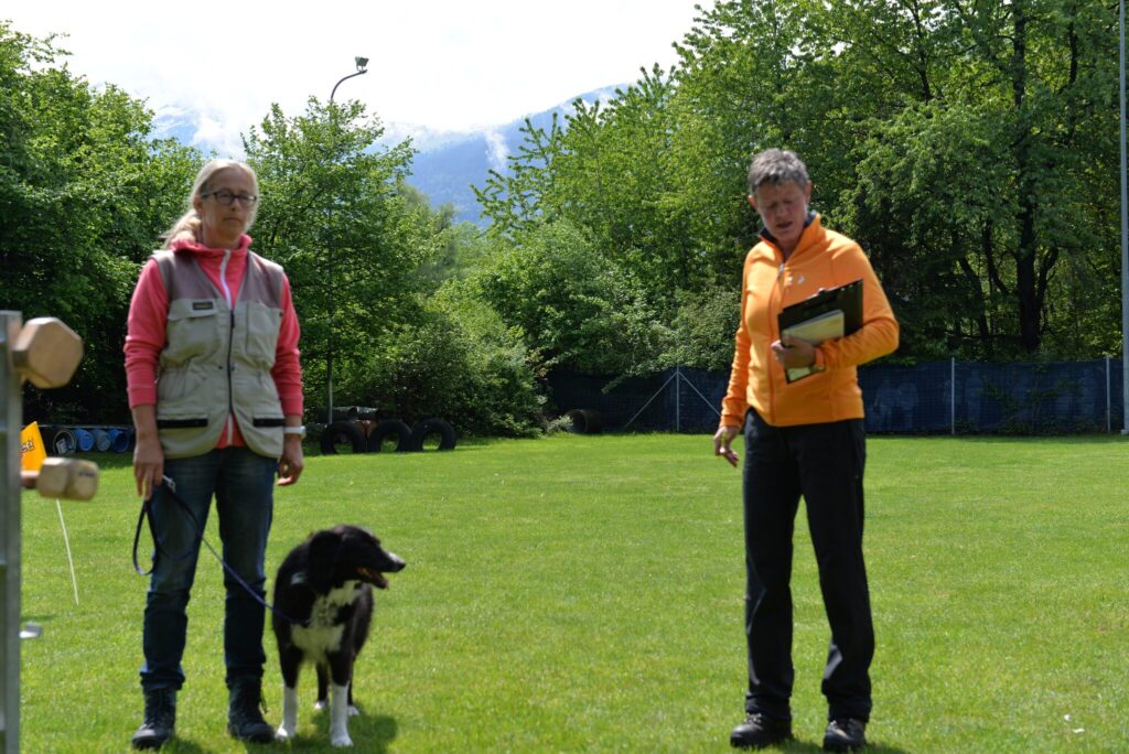 Hundesport & Prüfungen 2016 – Kynologischer Verein Ganda Landquart