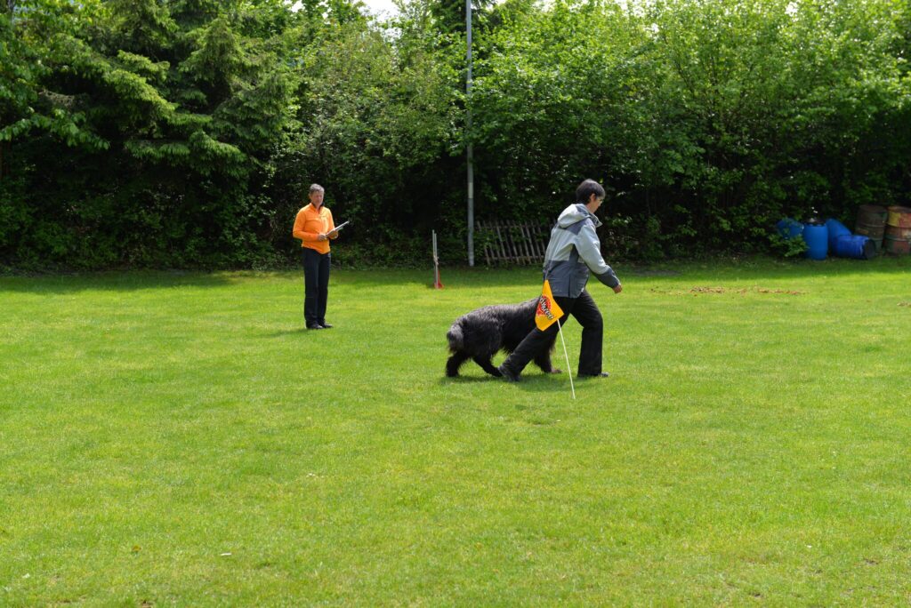 Hundesport & Prüfungen 2016 – Kynologischer Verein Ganda Landquart