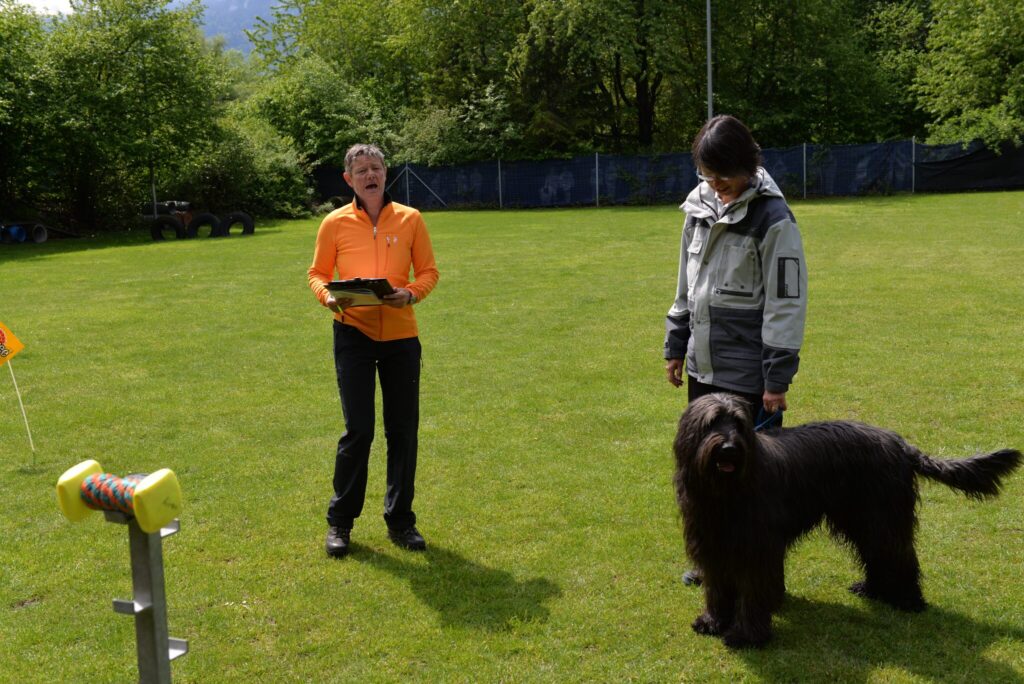 Hundesport & Prüfungen 2016 – Kynologischer Verein Ganda Landquart