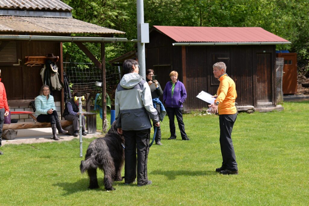 Hundesport & Prüfungen 2016 – Kynologischer Verein Ganda Landquart