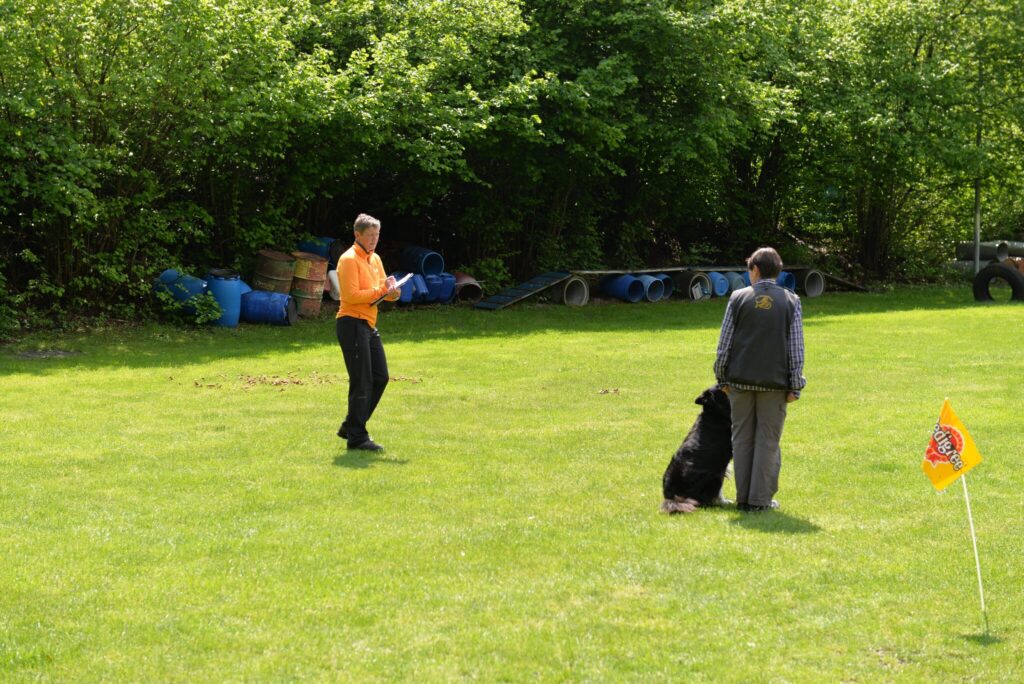 Hundesport & Prüfungen 2016 – Kynologischer Verein Ganda Landquart