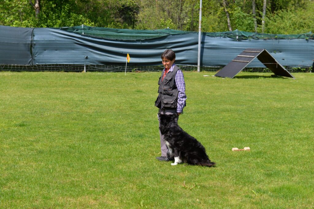 Hundesport & Prüfungen 2016 – Kynologischer Verein Ganda Landquart