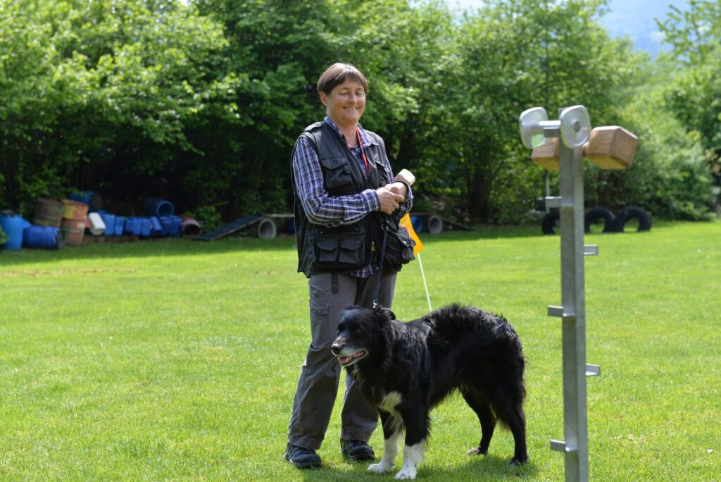 Hundesport & Prüfungen 2016 – Kynologischer Verein Ganda Landquart