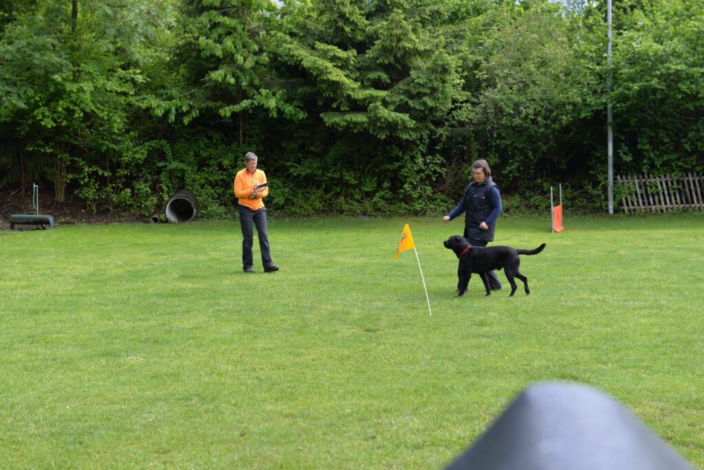 Hundesport & Prüfungen 2016 – Kynologischer Verein Ganda Landquart