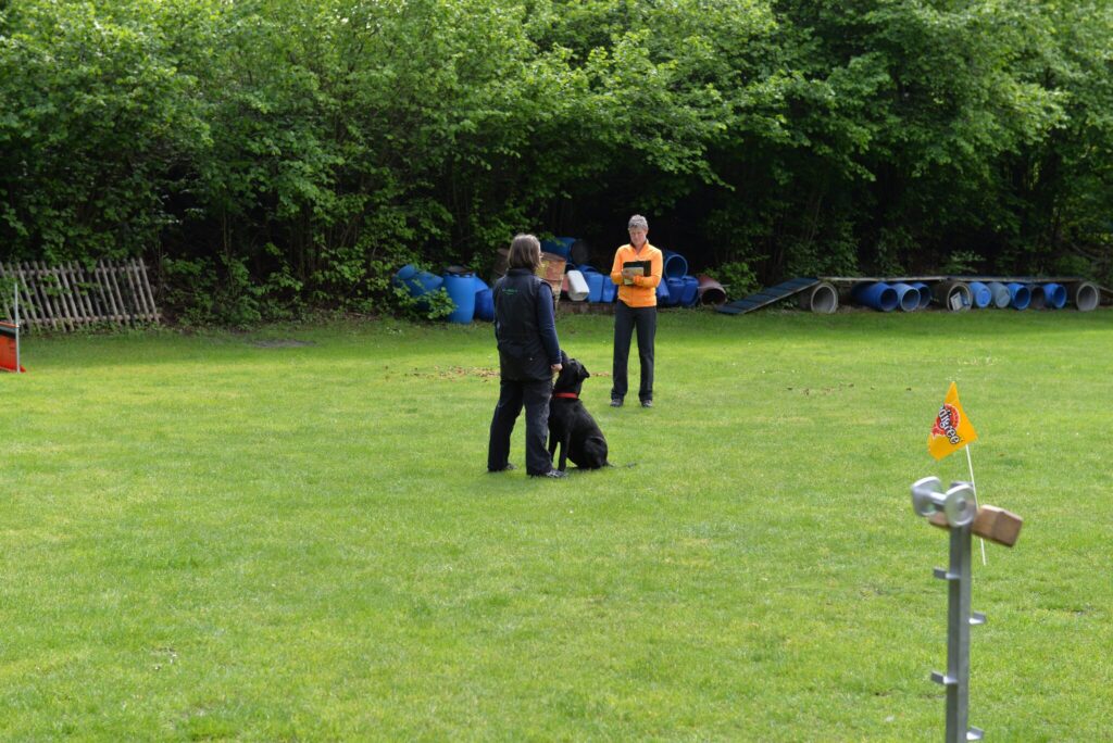Hundesport & Prüfungen 2016 – Kynologischer Verein Ganda Landquart