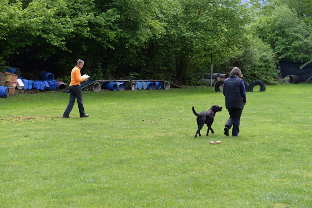 Hundesport & Prüfungen 2016 – Kynologischer Verein Ganda Landquart