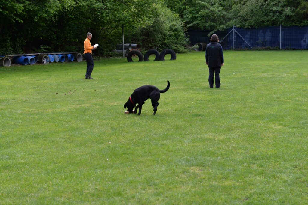 Hundesport & Prüfungen 2016 – Kynologischer Verein Ganda Landquart