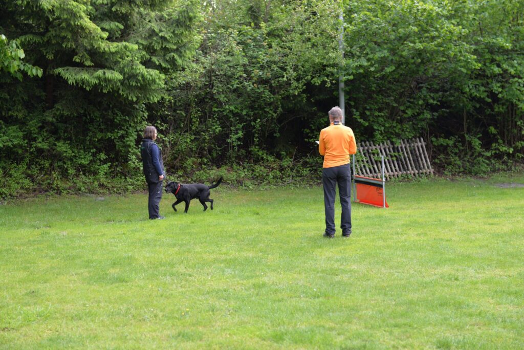 Hundesport & Prüfungen 2016 – Kynologischer Verein Ganda Landquart
