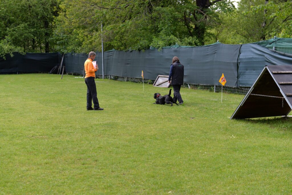 Hundesport & Prüfungen 2016 – Kynologischer Verein Ganda Landquart
