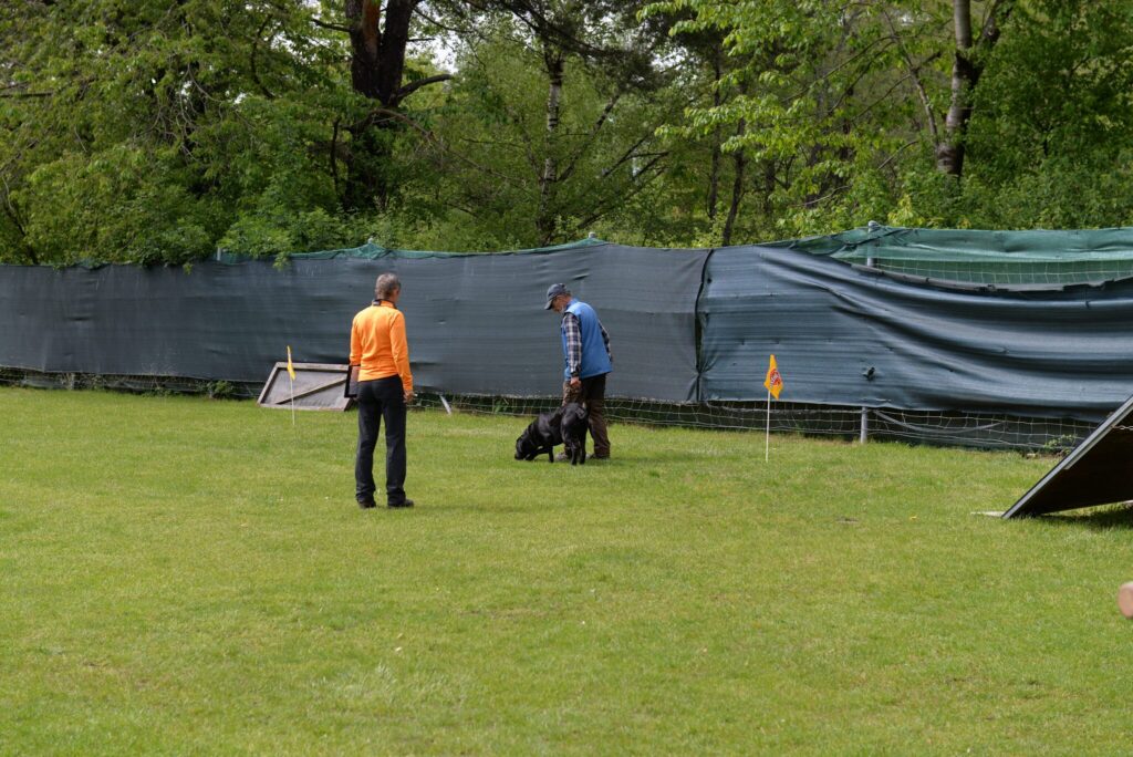 Hundesport & Prüfungen 2016 – Kynologischer Verein Ganda Landquart