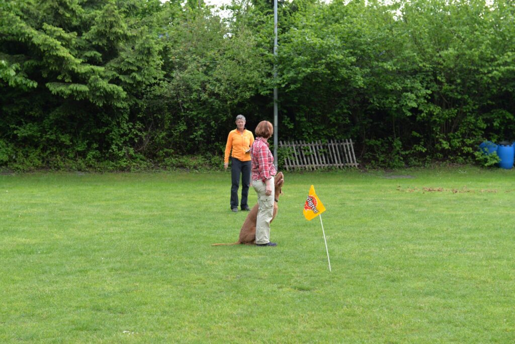 Hundesport & Prüfungen 2016 – Kynologischer Verein Ganda Landquart