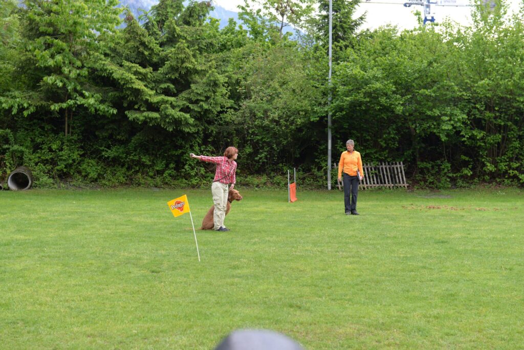 Hundesport & Prüfungen 2016 – Kynologischer Verein Ganda Landquart