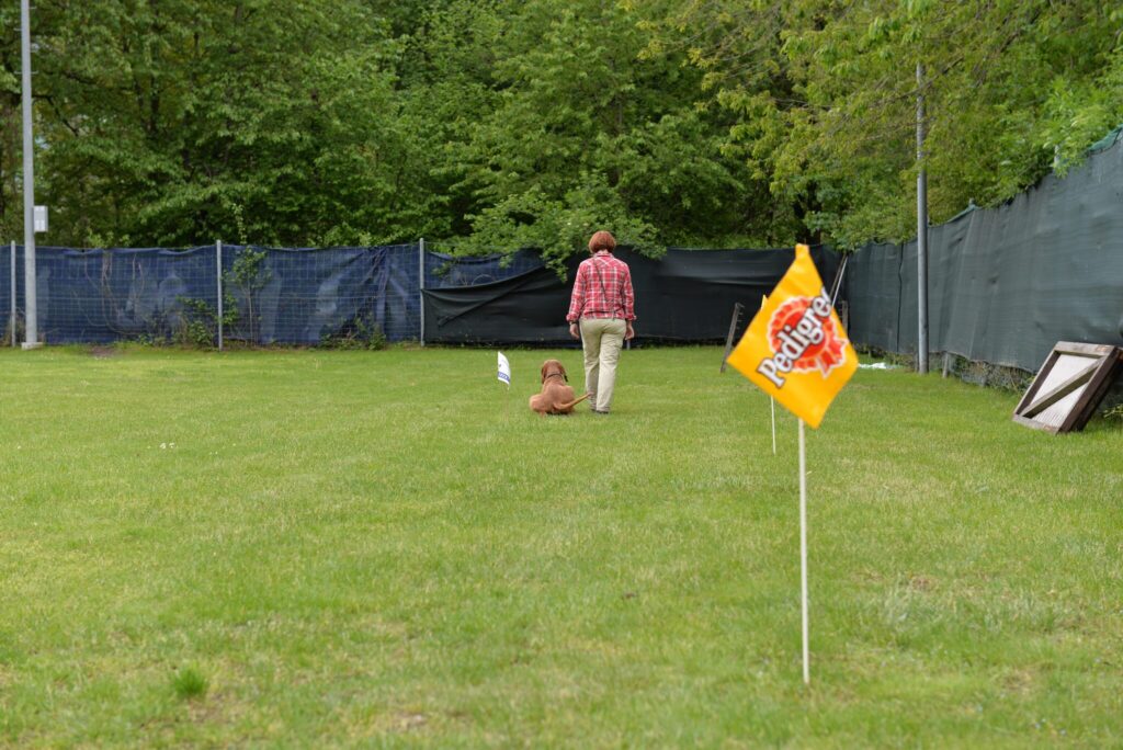 Hundesport & Prüfungen 2016 – Kynologischer Verein Ganda Landquart