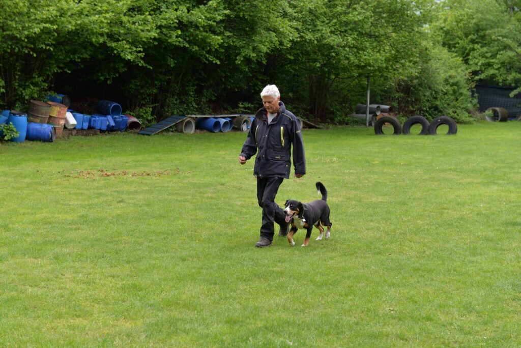 Hundesport & Prüfungen 2016 – Kynologischer Verein Ganda Landquart