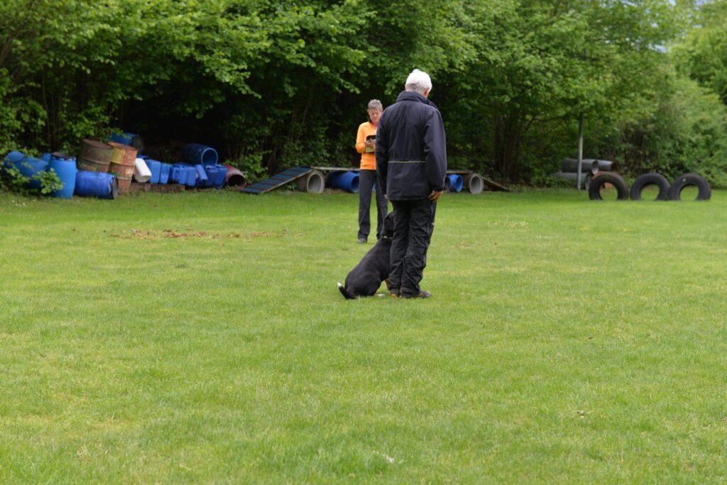 Hundesport & Prüfungen 2016 – Kynologischer Verein Ganda Landquart