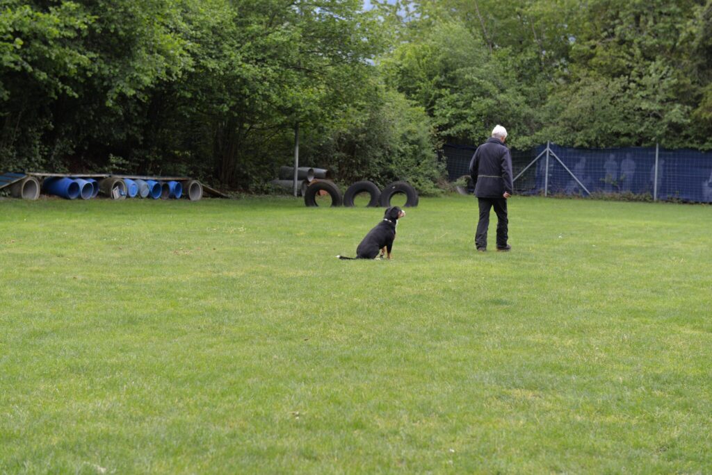 Hundesport & Prüfungen 2016 – Kynologischer Verein Ganda Landquart