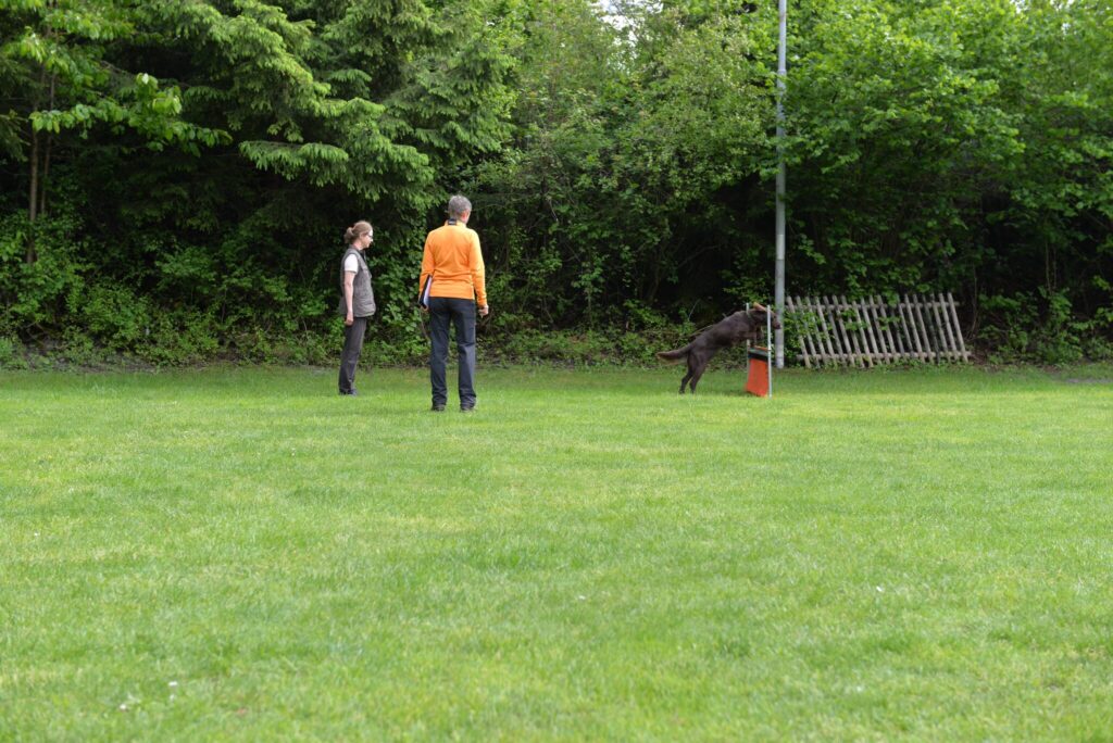 Hundesport & Prüfungen 2016 – Kynologischer Verein Ganda Landquart