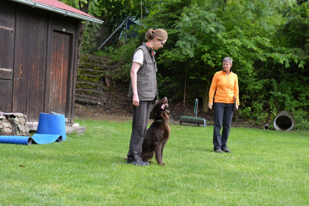 Hundesport & Prüfungen 2016 – Kynologischer Verein Ganda Landquart