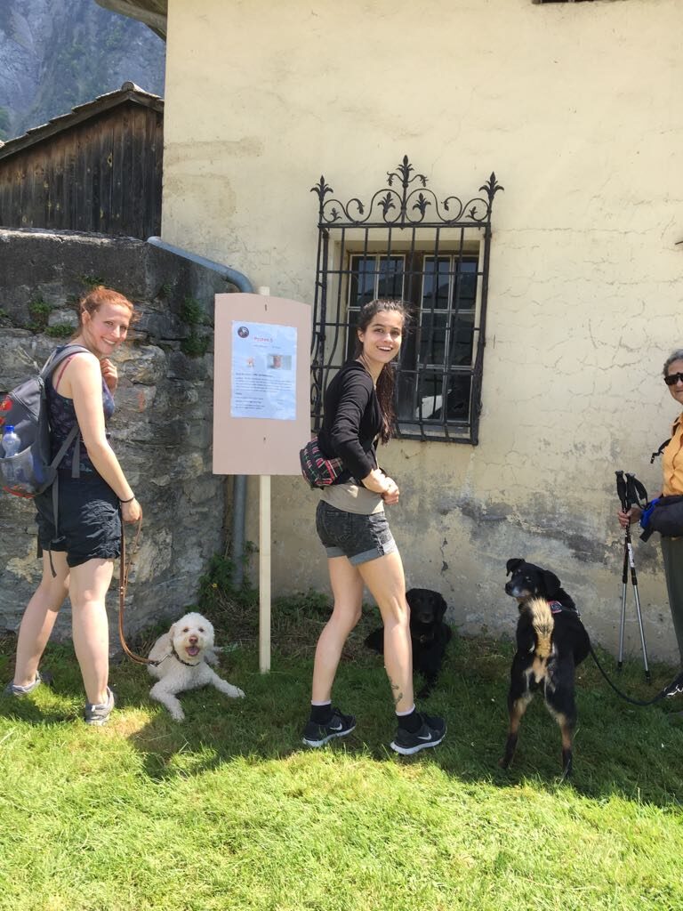 Hundesport & Prüfungen 2017 – Kynologischer Verein Ganda Landquart
