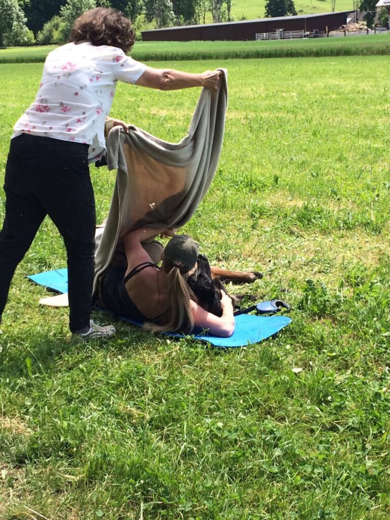 Hundesport & Prüfungen 2017 – Kynologischer Verein Ganda Landquart