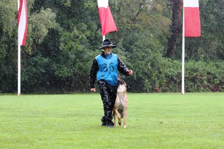 Hundesport & Prüfungen 2020 – Kynologischer Verein Ganda Landquart