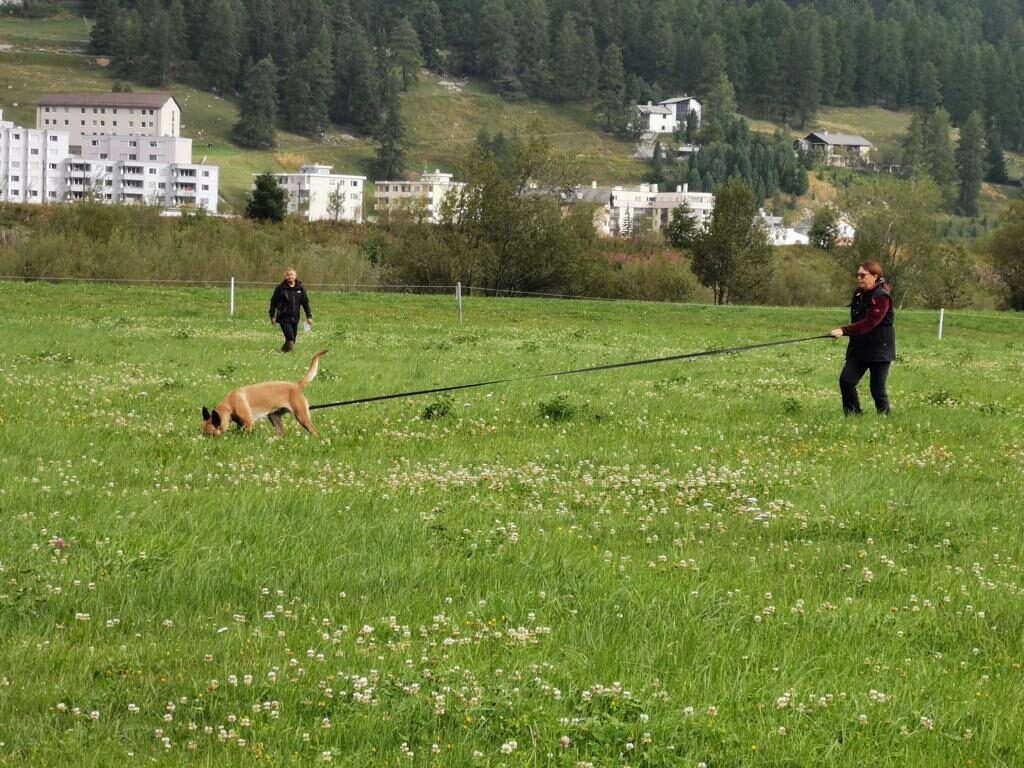 Hundesport & Prüfungen 2020 – Kynologischer Verein Ganda Landquart